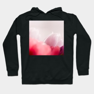 Tulips Hoodie